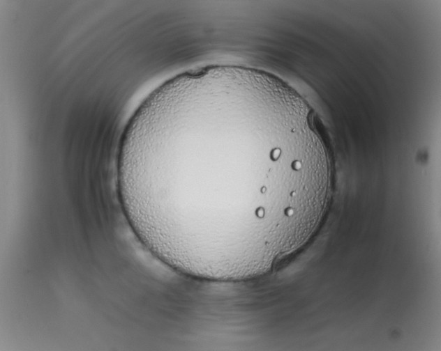 X0000113850904200910151209