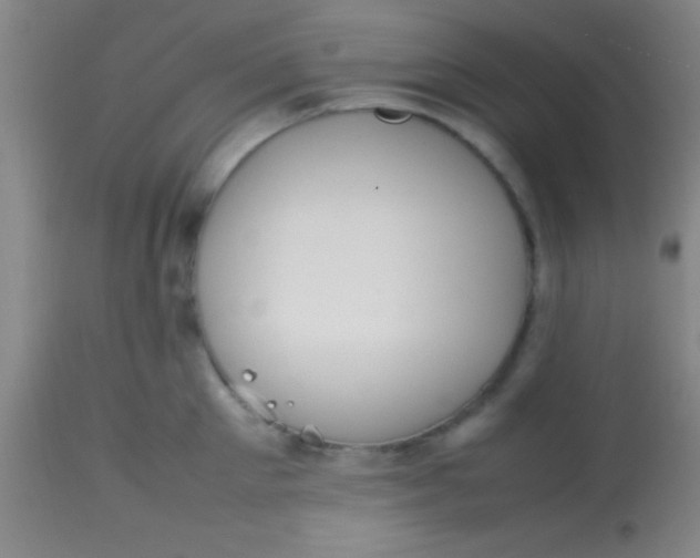 X0000113850905200910151209