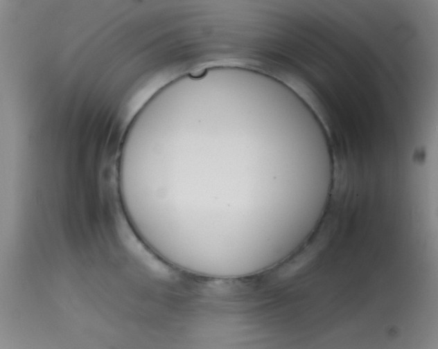 X0000113850906200910151209