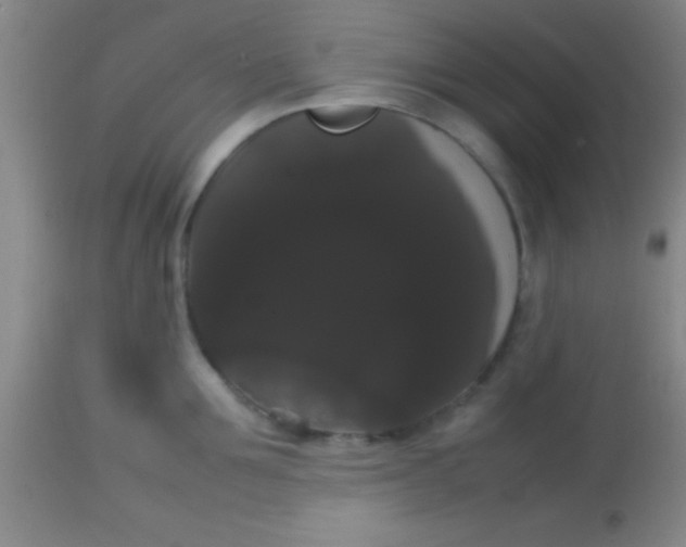 X0000113850907200910151209