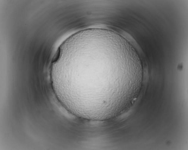 X0000113850908200910151209