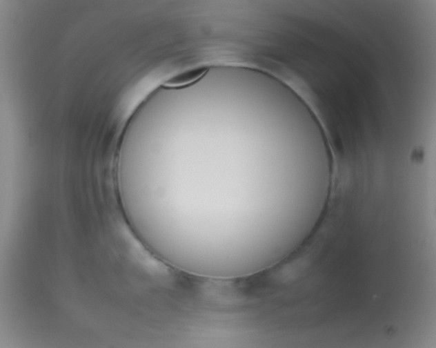 X0000113850909200910151209