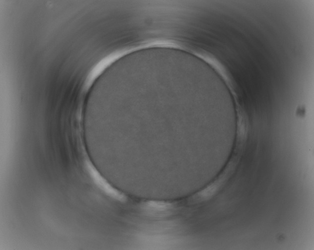 X0000113850910200910151209