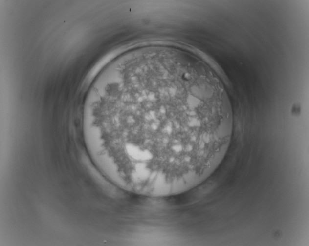 X0000113850911200910151209