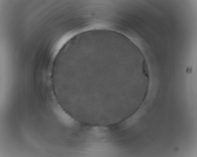 X0000113850912200910151209