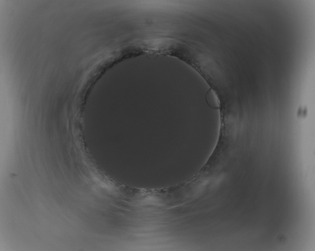 X0000113850913200910151208