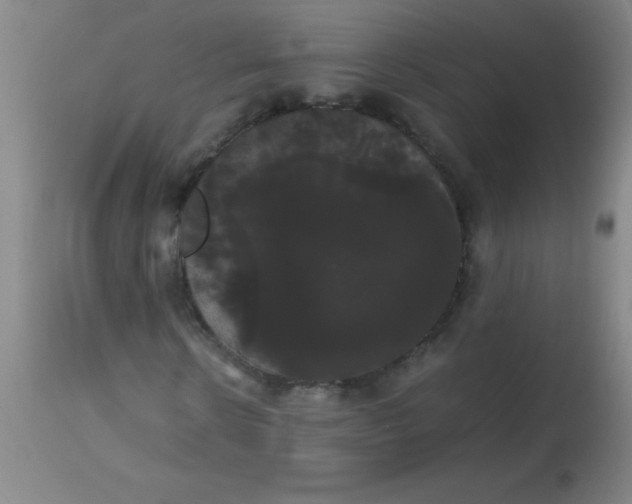 X0000113850914200910151208