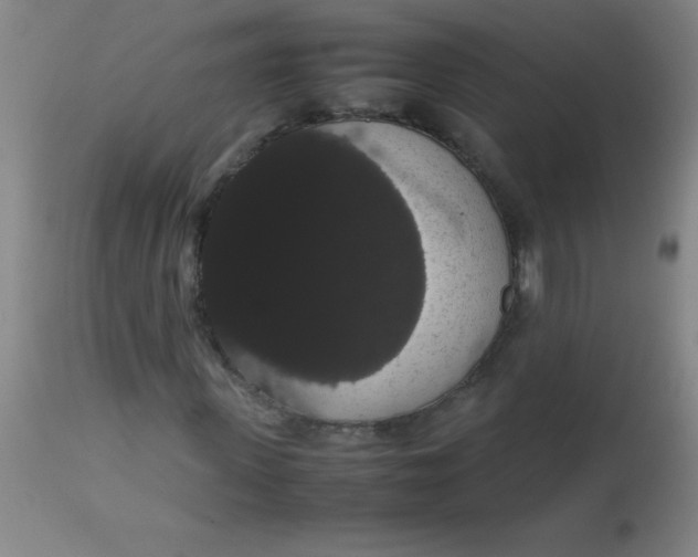 X0000113850915200910151208