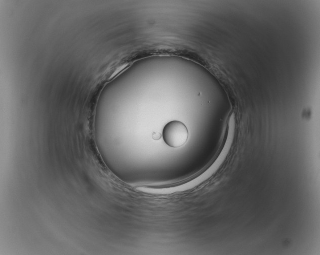 X0000113850916200910151208