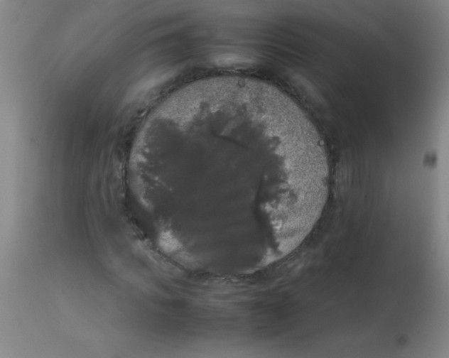 X0000113850917200910151208