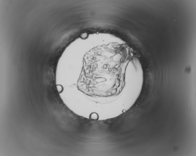 X0000113850918200910151208