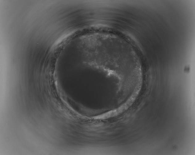 X0000113850919200910151208