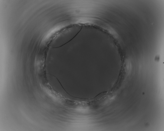 X0000113850920200910151208