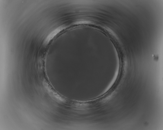 X0000113850921200910151208