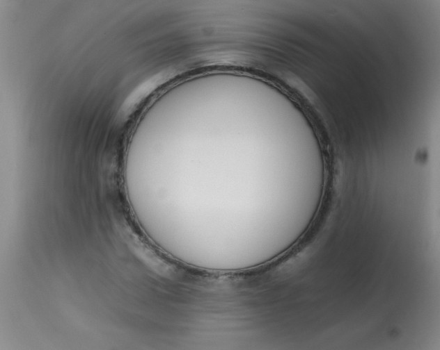 X0000113850922200910151208