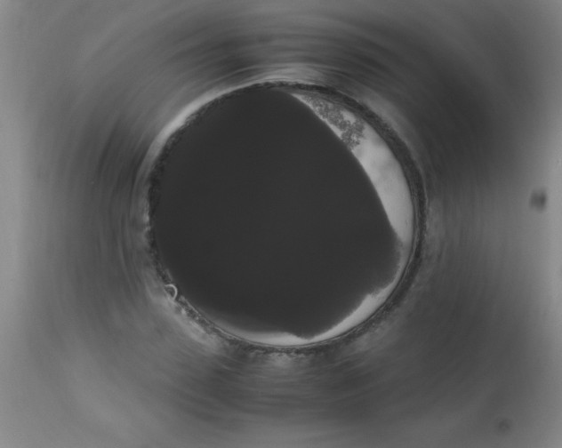 X0000113850923200910151208