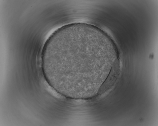 X0000113850924200910151208