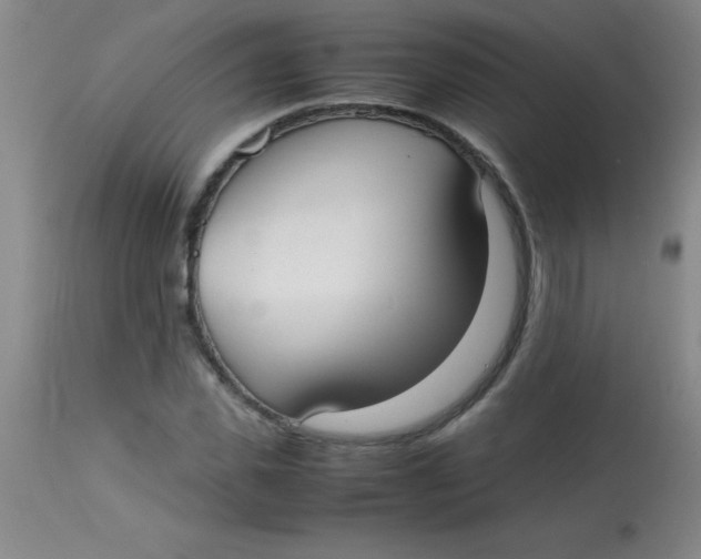 X0000113850925200910151208