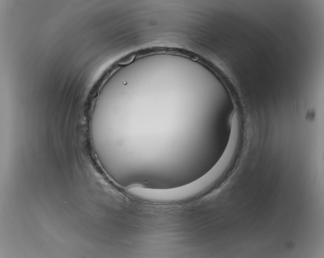 X0000113850926200910151208