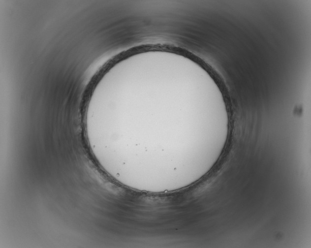 X0000113850927200910151208