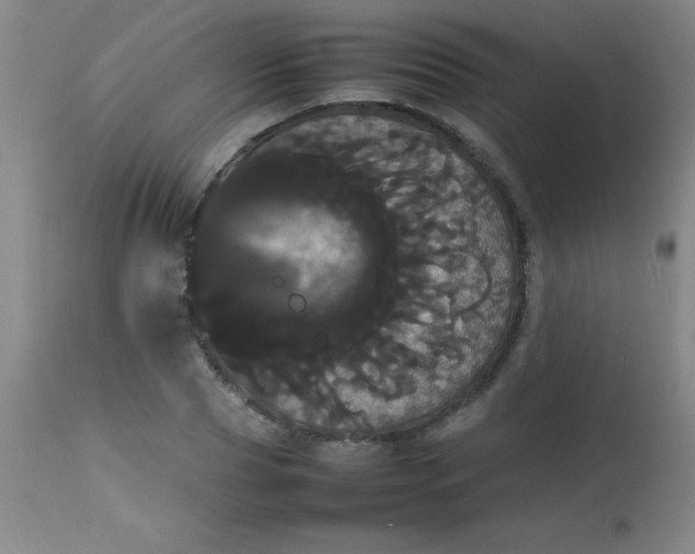 X0000113850929200910151208