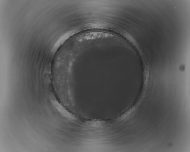 X0000113850930200910151208