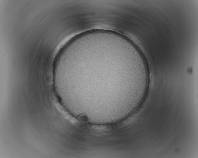 X0000113850931200910151208