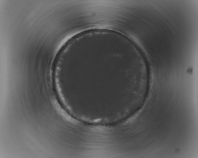 X0000113850932200910151208