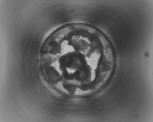 X0000113850933200910151208