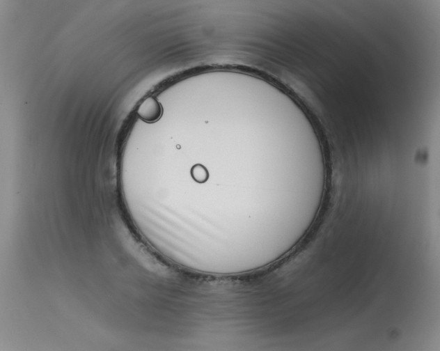 X0000113850934200910151208