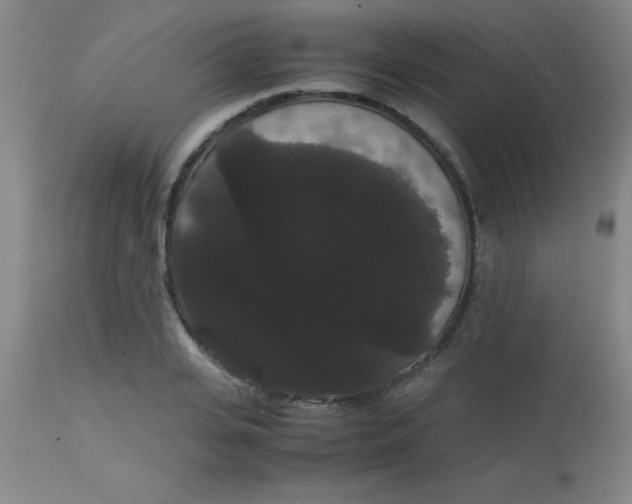 X0000113850935200910151208