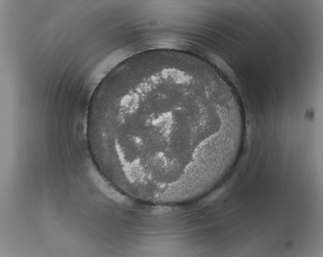 X0000113850938200910151208