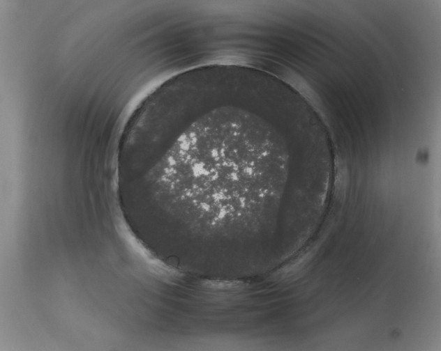 X0000113850939200910151208