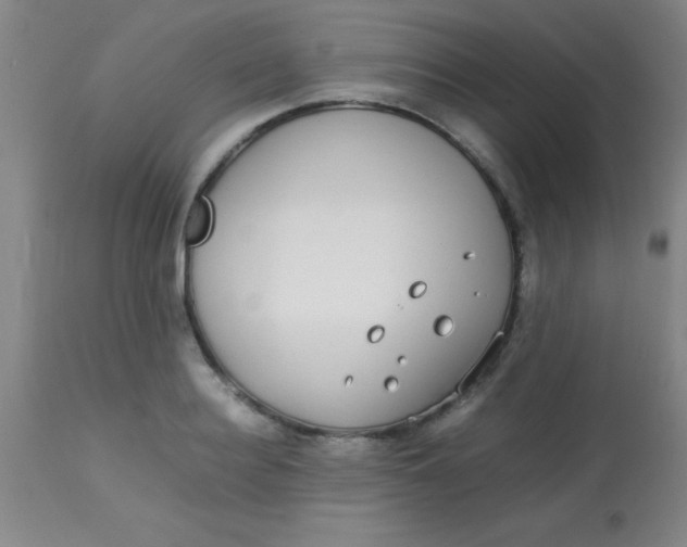 X0000113850940200910151208