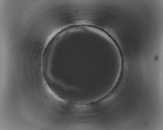 X0000113850941200910151208