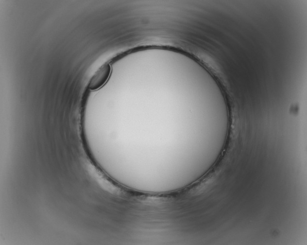 X0000113850942200910151208