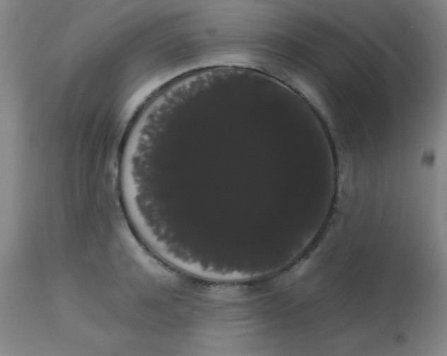 X0000113850944200910151208