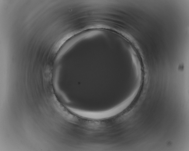 X0000113850945200910151208