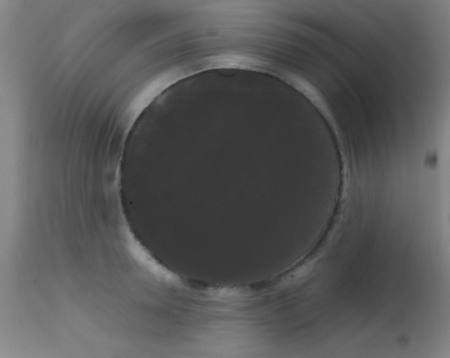 X0000113850946200910151208