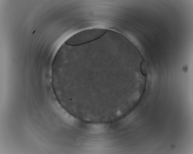 X0000113850948200910151208