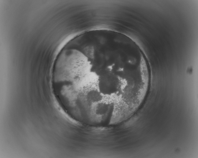 X0000113850949200910151208