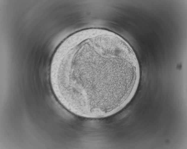 X0000113850950200910151208