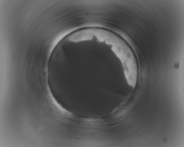 X0000113850951200910151208