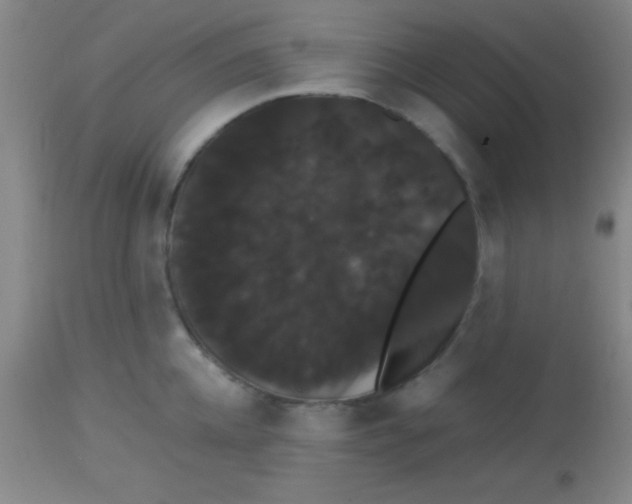 X0000113850952200910151208