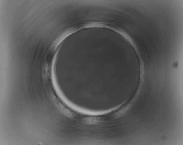 X0000113850953200910151208