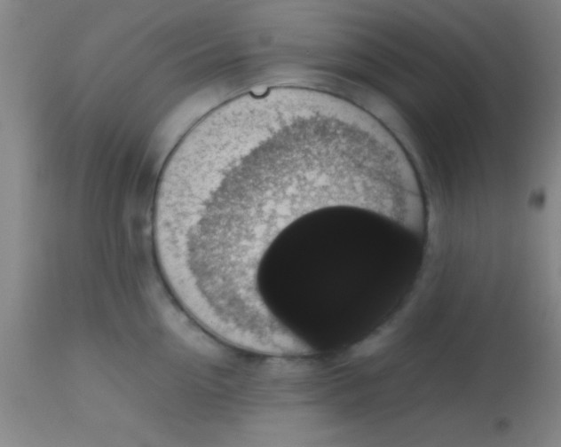 X0000113850954200910151208