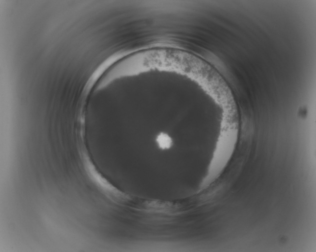 X0000113850955200910151208