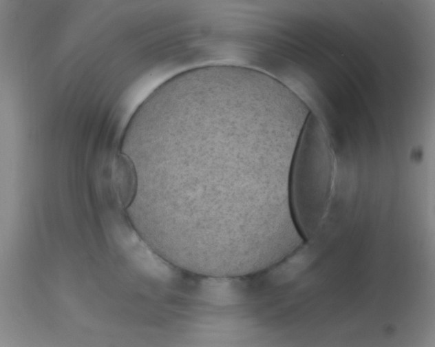 X0000113850956200910151208