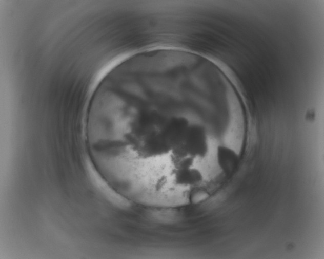 X0000113850957200910151208