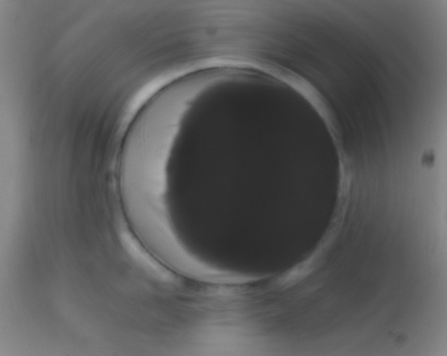 X0000113850958200910151208